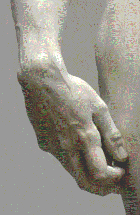 Un détail du David : la main droite